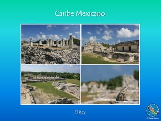 Caribe Mexicano




     El Rey.
 