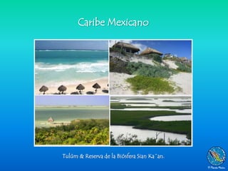 Caribe Mexicano




Tulúm & Reserva de la Biósfera Sian Ka´an.
 