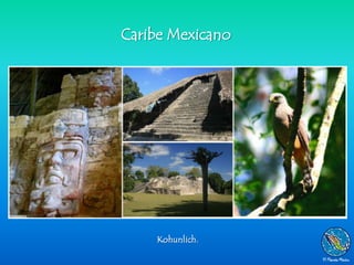 Caribe Mexicano




    Kohunlich.
 