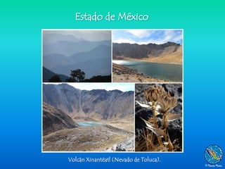 Estado de México




Volcán Xinantéatl (Nevado de Toluca).
 