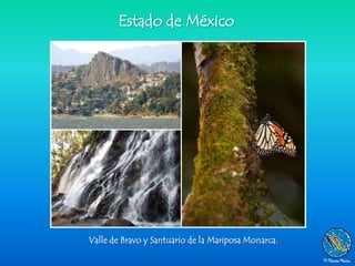 Estado de México




Valle de Bravo y Santuario de la Mariposa Monarca.
 