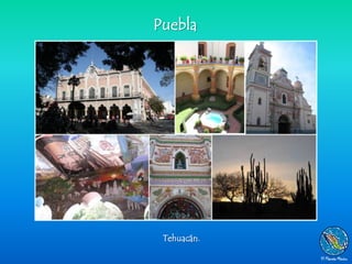 Puebla




 Tehuacán.
 