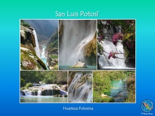 San Luis Potosí




  Huasteca Potosina.
 