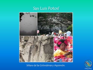 San Luis Potosí




Sótano de las Golondrinas y Aquismón.
 