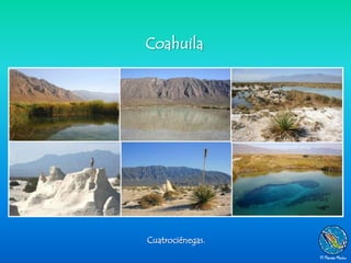 Coahuila




Cuatrociénegas.
 