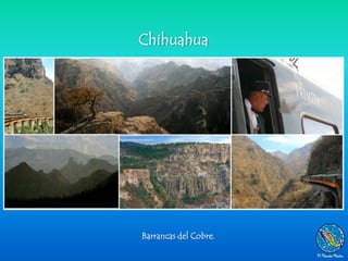 Chihuahua




Barrancas del Cobre.
 