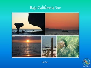 Baja California Sur




       La Paz.
 