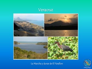 Veracruz




La Mancha y dunas de El Farallon
 