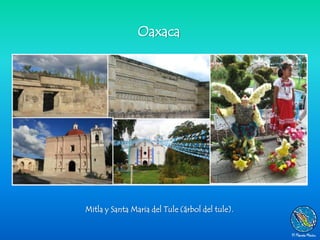 Oaxaca




Mitla y Santa Maria del Tule (árbol del tule).
 