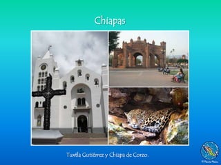 Chiapas




Tuxtla Gutiérrez y Chiapa de Corzo.
 