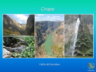Chiapas




Cañón del Sumidero.
 