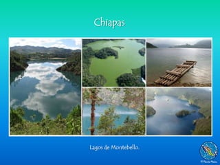Chiapas




Lagos de Montebello.
 