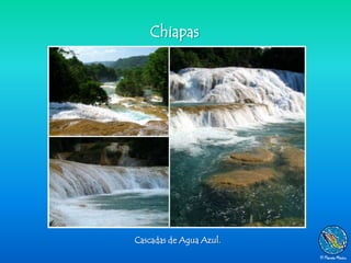Chiapas




Cascadas de Agua Azul.
 