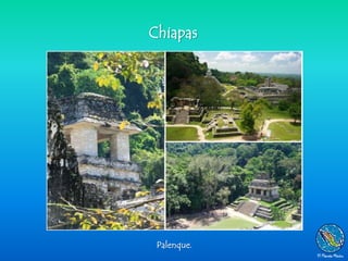 Chiapas




 Palenque.
 
