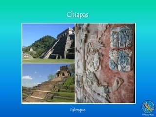 Chiapas




 Palenque.
 