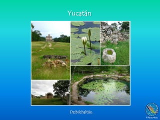 Yucatán




Dzibilchaltún.
 