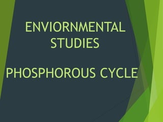 ENVIORNMENTAL
STUDIES
PHOSPHOROUS CYCLE
 