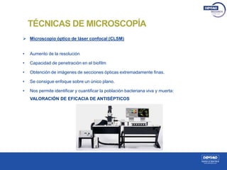  Microscopio óptico de láser confocal (CLSM)
• Aumento de la resolución
• Capacidad de penetración en el biofilm
• Obtención de imágenes de secciones ópticas extremadamente finas.
• Se consigue enfoque sobre un único plano.
• Nos permite identificar y cuantificar la población bacteriana viva y muerta:
VALORACIÓN DE EFICACIA DE ANTISÉPTICOS
TÉCNICAS DE MICROSCOPÍA
 