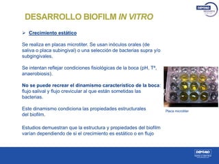 DESARROLLO BIOFILM IN VITRO
 Crecimiento estático
Se realiza en placas microtiter. Se usan inóculos orales (de
saliva o placa subingival) o una selección de bacterias supra y/o
subgingivales.
Se intentan reflejar condiciones fisiológicas de la boca (pH, Tª,
anaerobiosis).
No se puede recrear el dinamismo característico de la boca:
flujo salival y flujo crevicular al que están sometidas las
bacterias.
Este dinamismo condiciona las propiedades estructurales
del biofilm.
Estudios demuestran que la estructura y propiedades del biofilm
varían dependiendo de si el crecimiento es estático o en flujo
Placa microtiter
 