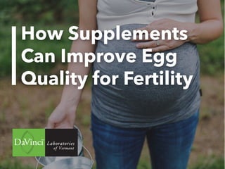 How Supplements
Can Improve Egg
Quality for Fertility
 
