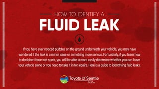 How To Identify A Fluid Leak