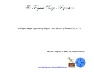 The Fogatti Dogo Argentino

The Fogatti Dogo Argentino by Fogatti Cane Esotico of Puerto Rico, U.S.A.

Officially Recognized by the FCI & FCPR on October 2011

www.FogattiDogos.com pablonunez8888@gmail.com

 