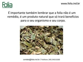 www.folia.ind.br


 É importante também lembrar que a folia não é um
remédio, é um produto natural que só trará benefícios
          para o seu organismo e seu corpo.




           contato@folia.ind.br / Telefone: (49) 3433.0100
 