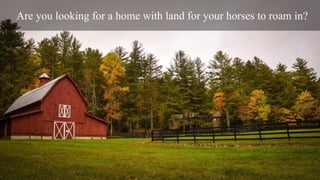 Are you looking for a home with land for your horses to roam in?
 