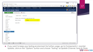  If you want to keep your testing environment for further usage, go to Components > Joomla!
Update, click on the “Options...