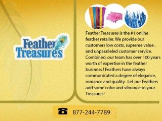 Where Feathers are Treasures 