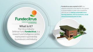 Fundecitrus was created in 1977 as a
response response to the need for citrus groves
to remain healthy in order to be competitive
with the aim of seeking sustainable citrus
farming solutions, from an economic, social
and environmental point of view.
What is it?
The Citrus Industry
Defense Fund, Fundecitrus, is a
research and intelligence centre
maintained in partnership
by producers and industry.
 