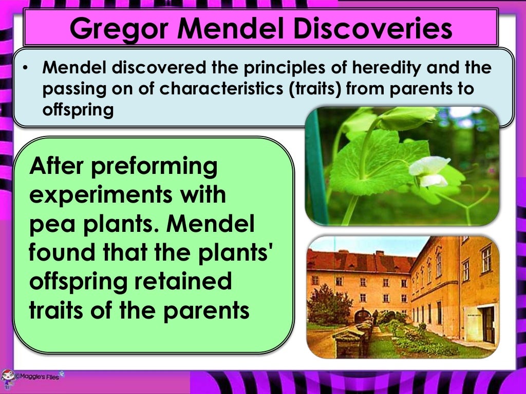 FUNDAMENTALS OF GENETICS SECONDARY GRADES