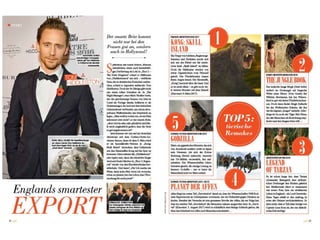 gold im März – das STAR-MAGAZIN