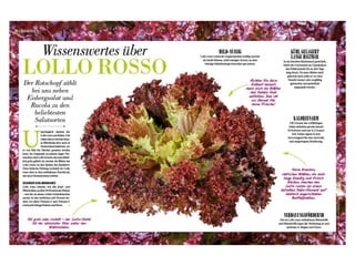 gold im April - das STAR-MAGAZIN