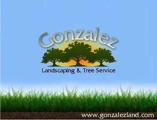 www.gonzalezland.com
 