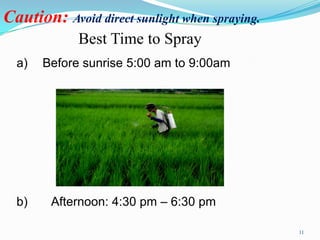 Caution: Avoid direct sunlight when spraying.
             Best Time to Spray
  a)   Before sunrise 5:00 am to 9:00am




  b)    Afternoon: 4:30 pm – 6:30 pm

                                                11
 