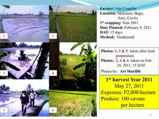 Farmer: Jojo Caspillo
        Location: Malainen, Bago,
                   Naic, Cavite
        1st cropping: Year 2011
        Date Planted: February 9, 2011
        DAT: 15 days
1   2   Method: Traditional


        Photos: 1, 3 & 5 taken after land
                 preparation
        Photos: 2, 4 & 6 taken on Feb.
                  24, 2011, 15 DAT.
3   4   Photos by: Art Murillo

          1st harvest Year 2011
               May 27, 2011
        Expenses: P2,000/hectare
        Produce: 100 cavans
                 per hectare
5   6
                                      4
 