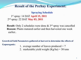 Result of the Pechay Experiment:
                          Spraying Schedule
        1st spray: 14 DAT April 15, 2011
     2nd spray: 22 DAT May 03, 2011

    Result: Only 2 schedules were done & 3rd spray was cancelled
    Reason: Plants matured earlier and then harvested one week
     earlier..


Growth &Yield Parameters gathered at harvest to determine the effects of
Gopureganic:
                 1. average number of leaves produced = 7
                 2. marketable yield weight (Kg/ha) = 30 tons


                                                                           9
 