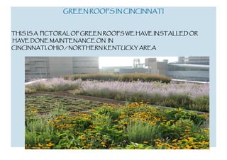 GREEN ROOFS IN CINCINNATI

THIS IS A PICTORAL OF GREEN ROOFS WE HAVE INSTALLED OR
HAVE DONE MAINTENANCE ON IN
CINCINNATI, OHIO / NORTHERN KENTUCKY AREA

 