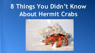 8 Things You Didn’t Know
About Hermit Crabs
 