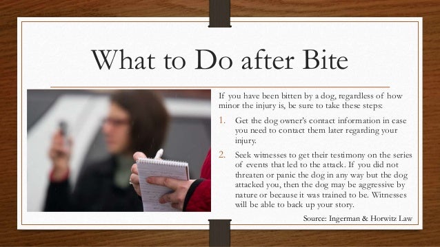 what to do when you get a puppy what did you do to 28 images animated gif create animated gifs for what did you what to do when you get a puppy what did you do to 28 images animated gif create animated gifs for what did you