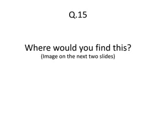 Q.15
Where would you find this?
(Image on the next two slides)
 