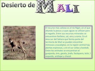 El recurso más valioso es el río Níger, en el que
abunda la pesca y cuyas aguas se utilizan para
el regadío. Entre sus recursos minerales se
encuentran fosfatos, sal, oro y uranio. En el
área sur del Sahara que forma parte del
territorio de Malí se pueden encontrar
mimosas y eucaliptos; en la región central hay
plantas espinosas, y en el sur ceiba y baobab.
Entre los animales se encuentran el
guepardo, órix, gacela, jirafa, facóquero, león, l
eopardo, antílope y chacal.
 