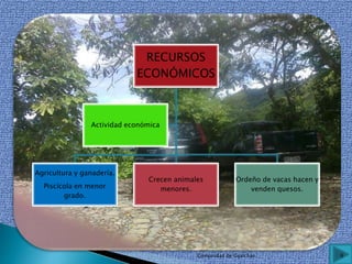 RECURSOS
ECONÓMICOS
Agricultura y ganadería.
Piscícola en menor
grado.
Crecen animales
menores.
Ordeño de vacas hacen y
venden quesos.
Actividad económica
6Comunidad de Gualchán
 