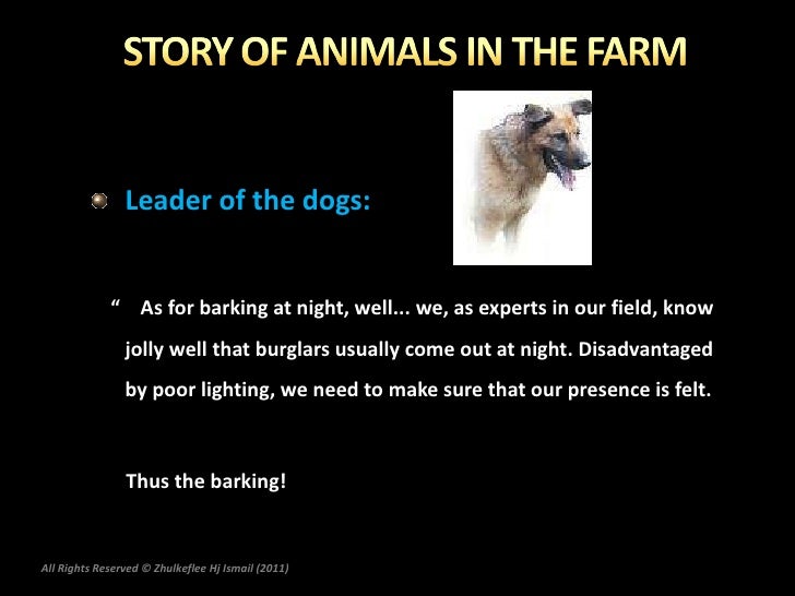 Why Do Dogs Howl At Night In Islam