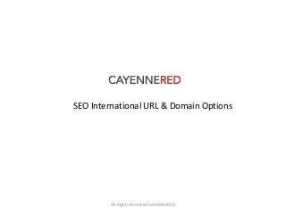 All Rights Reserved CAYENNERED
SEO International URL & Domain Options
 
