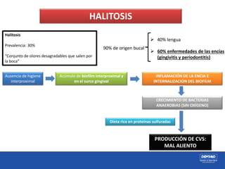 HALITOSIS
Halitosis
Prevalencia: 30%
“Conjunto de olores desagradables que salen por
la boca”
90% de origen bucal
 40% lengua
 60% enfermedades de las encías
(gingivitis y periodontitis)
Ausencia de higiene
interproximal
Acúmulo de biofilm interproximal y
en el surco gingival
INFLAMACIÓN DE LA ENCIA E
INTERNALIZACIÓN DEL BIOFILM
CRECIMIENTO DE BACTERIAS
ANAEROBIAS (SIN OXÍGENO)
PRODUCCIÓN DE CVS:
MAL ALIENTO
Dieta rica en proteínas sulfuradas
 