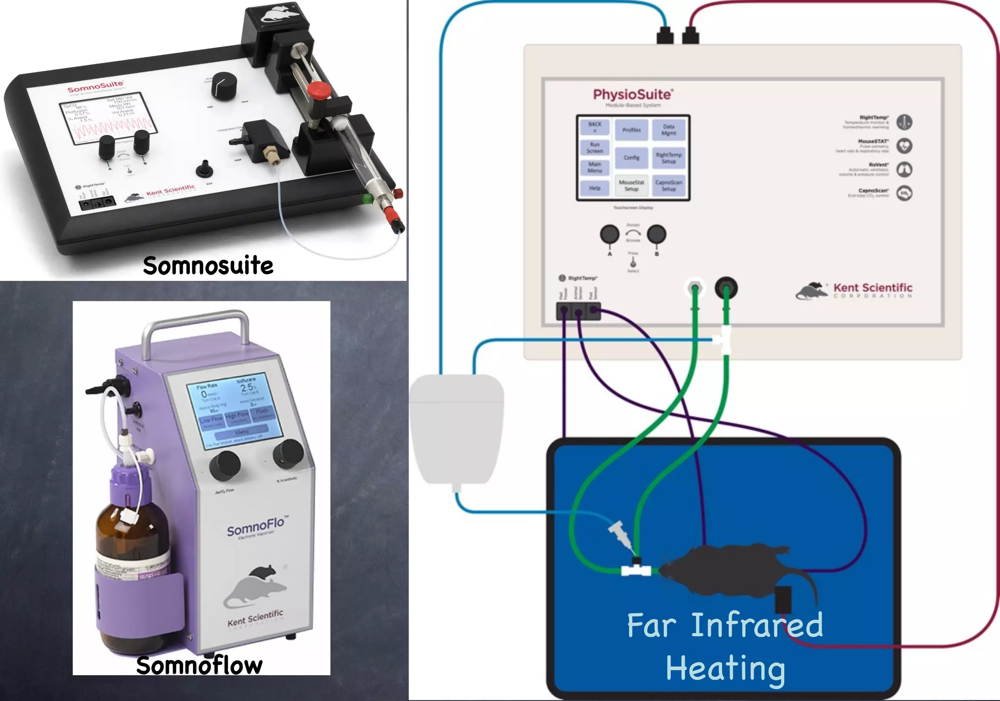 Far Infrared
Heating
Somnosuite
Somnoflow
 