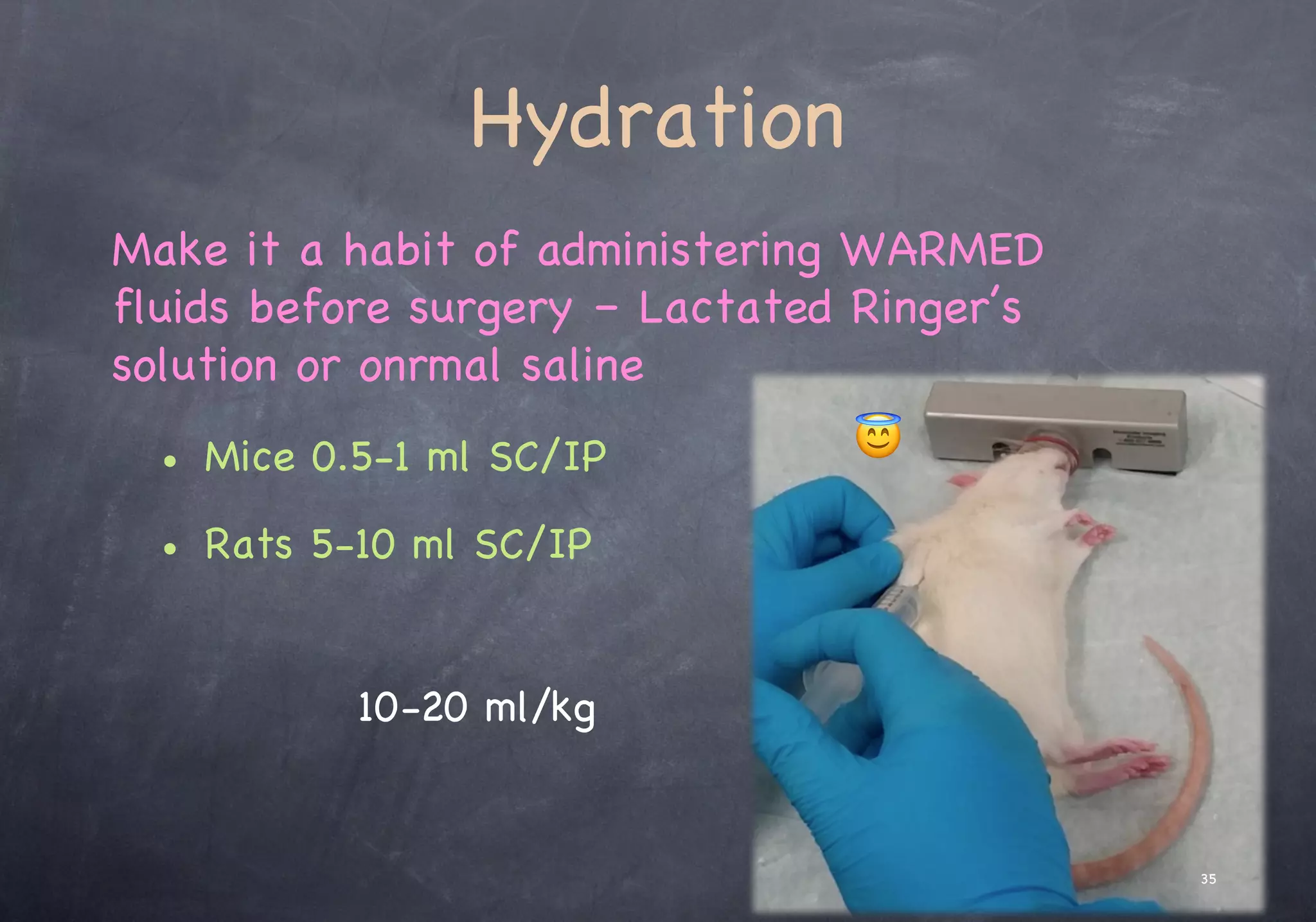 Hydration
Make it a habit of administering WARMED
fluids before surgery – Lactated Ringer’s
solution or onrmal saline
• Mice 0.5-1 ml SC/IP
• Rats 5-10 ml SC/IP
😇
35
10-20 ml/kg
 