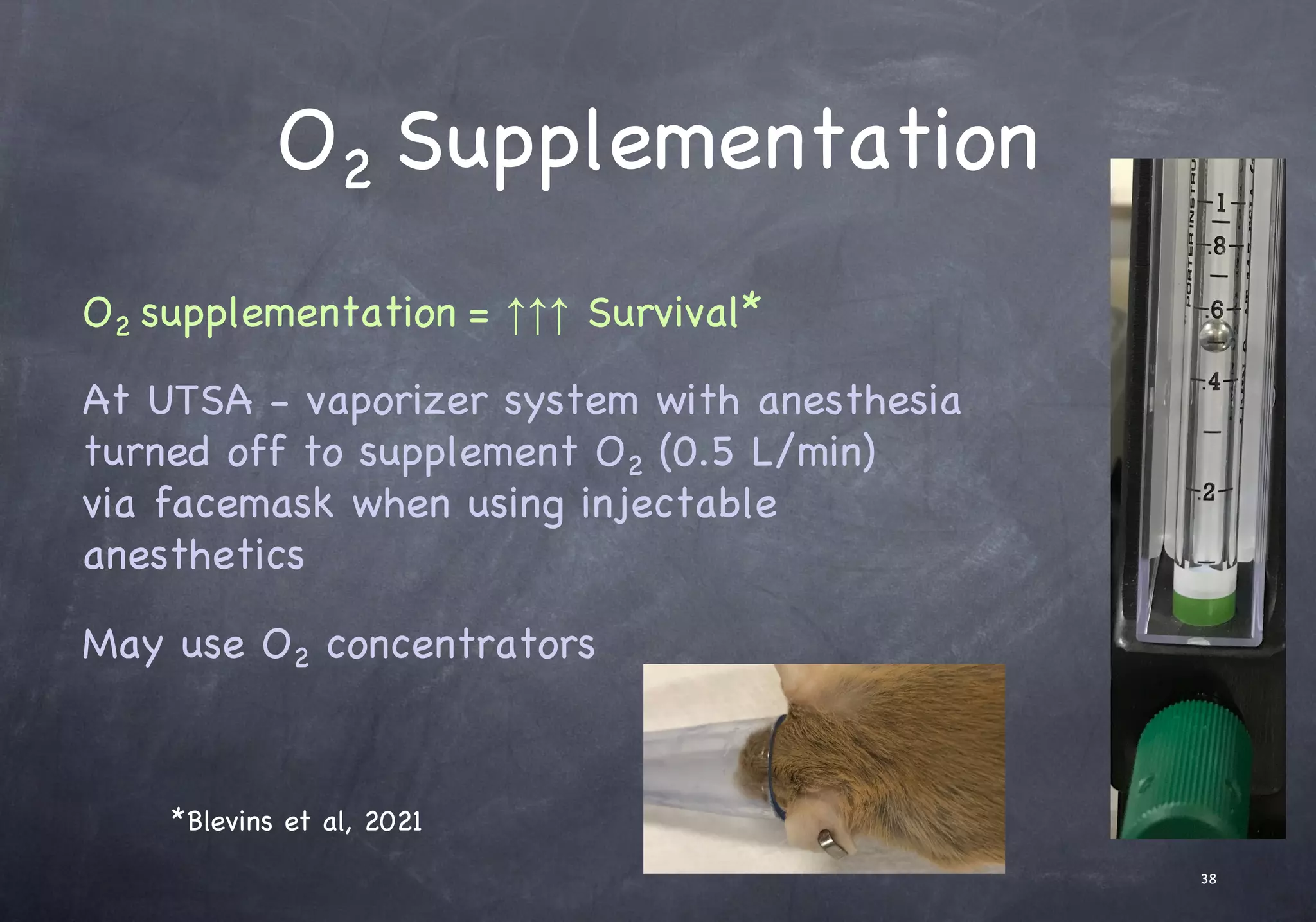 O2 Supplementation
O2 supplementation = ↑↑↑ Survival*
At UTSA - vaporizer system with anesthesia
turned off to supplement O2 (0.5 L/min)
via facemask when using injectable
anesthetics
May use O2 concentrators
38
*Blevins et al, 2021
 